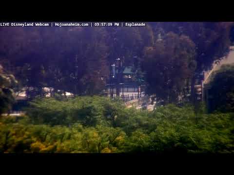 Live webcam of Disneyland Cam