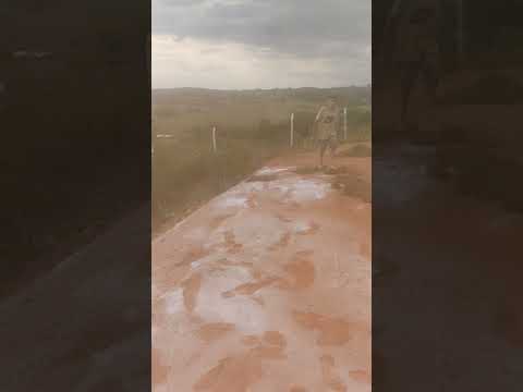 fazendo plantio de grama em Alexânia Goiás