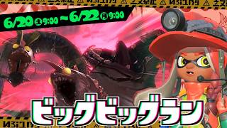 【サモラン】参加型！ついに来た！ビッグビッグラン！スプラトゥーン3配信中