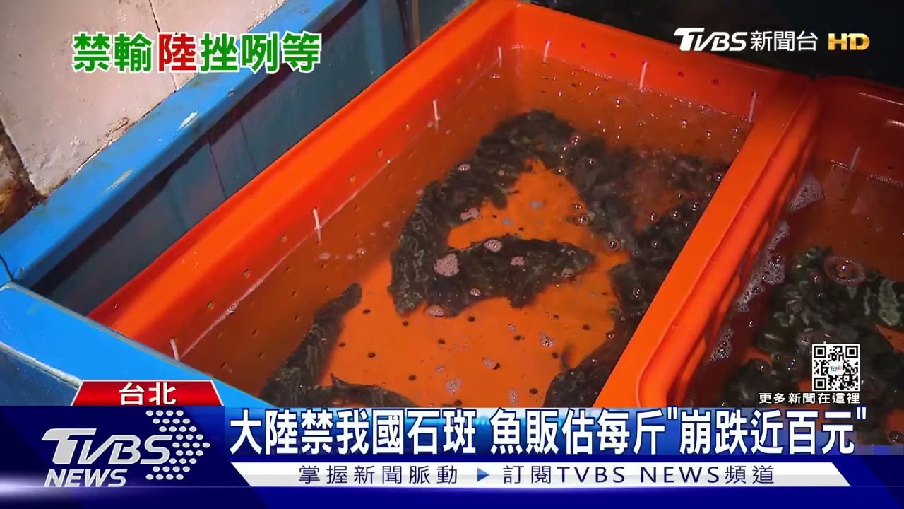 大陸禁我國石斑 魚販估每斤「崩跌近百元」