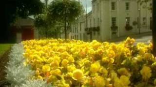 Dermot Cavanagh is Awash with Colour in Moy Co. Tyrone Part 1