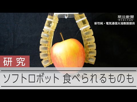 「デジタル兵器」:「制御不能になった怪物」と専門家が警告