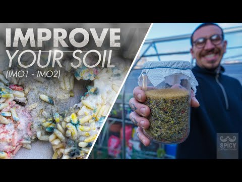 Korean Natural Farming | IMO 1 - 2