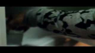 Planet Asia x DirtyDiggs - Crack Stay Whippin ft.  Washeyi Choir (official video)