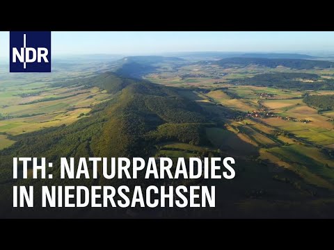 Hoch hinaus - Erlebnistour im Ith | die nordstory | NDR Doku
