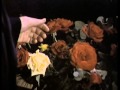 1 Mil Mascaras Una Rosa Sobre El Ring PT1