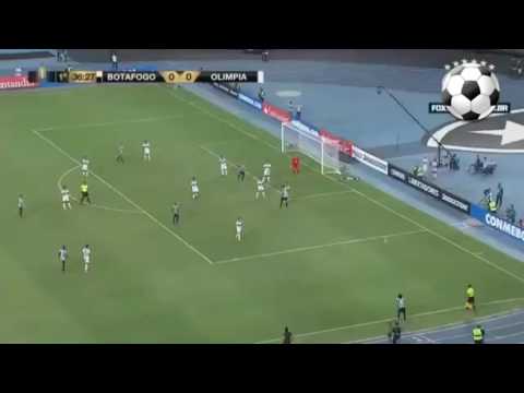 Gol de Placa - Rodrigo Pimpão  (Botafogo 1x0 Olímpia)