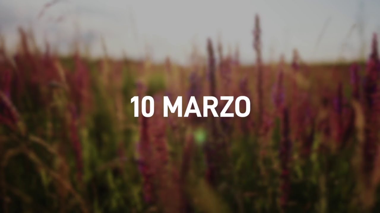 10 Marzo 2025 | Meditazione Parole di Vita
