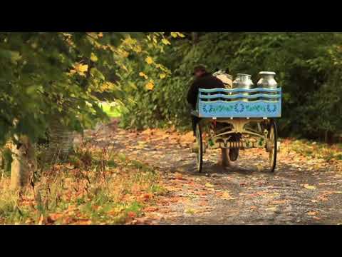 Thomas Doran Tommy wall