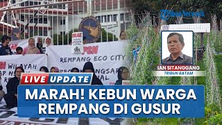 Kebun Diobrak-abrik Direktorat Pengamanan BP Batam, Warga Rempang Protes karena Dinilai Merugikan