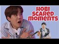 Jhope scared moments compilation #Hobi