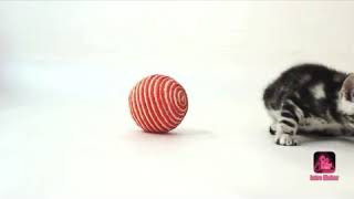 Download lagu Bagaikan langit dan bumi| Cover by Dimas Gepenk mp3