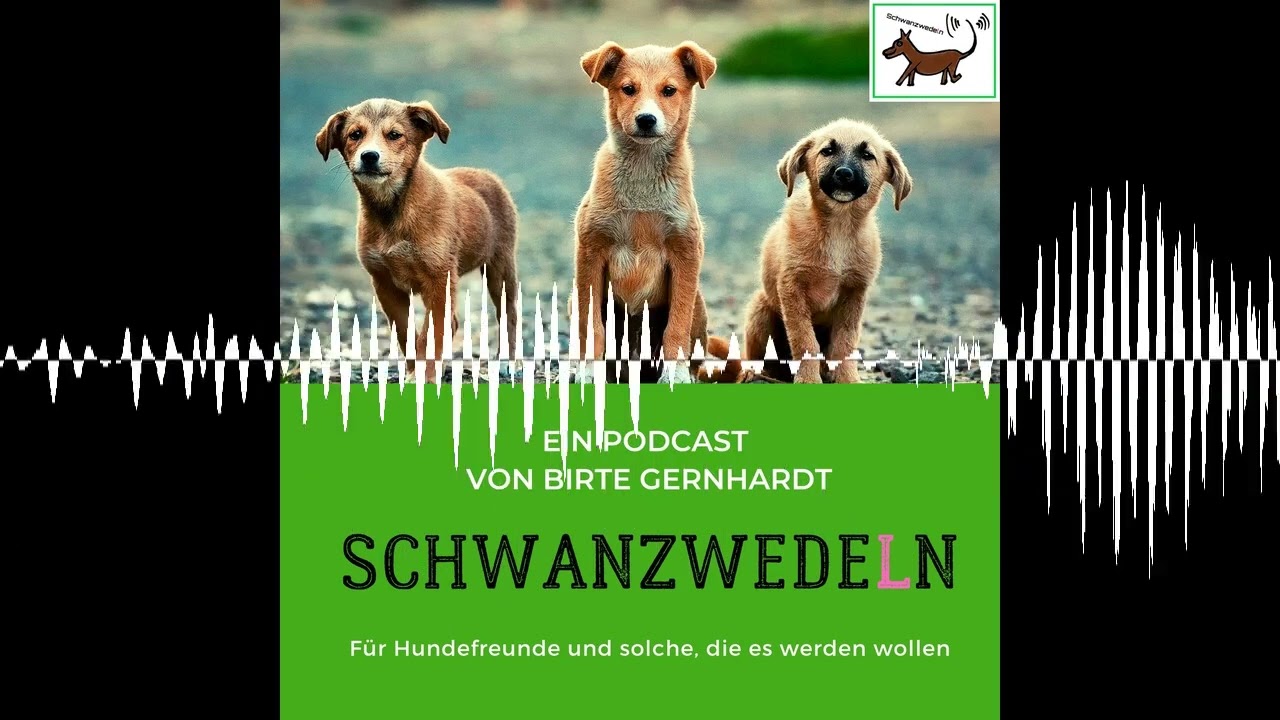 100 Hund - Parfum, warum wälzen sich Hunde in Gestank? - Schwanzwedeln