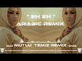 Mutlu Temiz Eh Eh Arabic Remix Tiktok