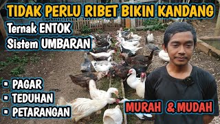 Download lagu THE EASIEST AND CHEAPEST WAY TO MAKE A FREE-FREE MUSHROOM CAGE, MORE COST-EFFECTIVE. SUCCESSFUL B... mp3 Download lagu THE EASIEST AND CHEAPEST WAY TO MAKE A FREE-FREE MUSHROOM CAGE, MORE COST-EFFECTIVE. SUCCESSFUL B... mp3