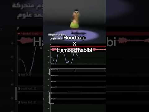 Hoodtrap x Hamood habibi