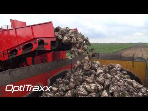 Agrifac Exxact OptiTraxx sugar beet harvester - Best soil conservation, better soil structure