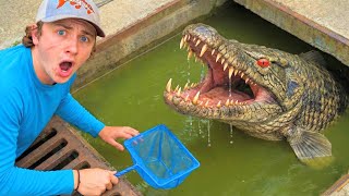 I Found a Mysterious Sewer FILLED with Rare Fish!