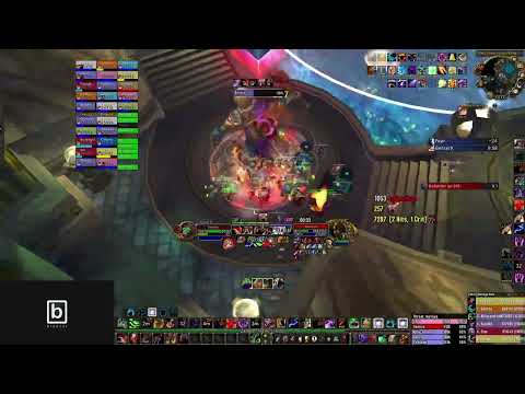 Rank 1 World DPS Auriaya Feral Druid (10,989 DPS) WOTLK Classic