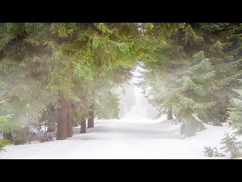 Fantasy Music - Elven Sanctuary (Asian Winter)