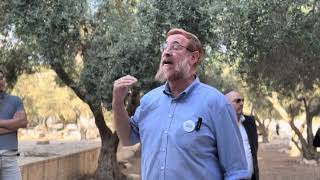 בואו לראות להיראות בפני ה׳ ולבקש מחילתו | ר׳ יהודה גליק (ישיבת הר הבית) - התמונה מוצגת ישירות מתוך אתר האינטרנט יוטיוב. זכויות היוצרים בתמונה שייכות ליוצרה. קישור קרדיט למקור התוכן נמצא בתוך דף הסרטון בואו לראות להיראות בפני ה׳ ולבקש מחילתו | ר׳ יהודה גליק (ישיבת הר הבית) - התמונה מוצגת ישירות מתוך אתר האינטרנט יוטיוב. זכויות היוצרים בתמונה שייכות ליוצרה. קישור קרדיט למקור התוכן נמצא בתוך דף הסרטון