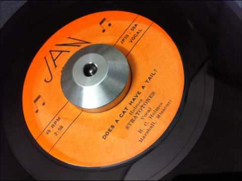 The Stratotones-Does A Cat Have A Tail JAN