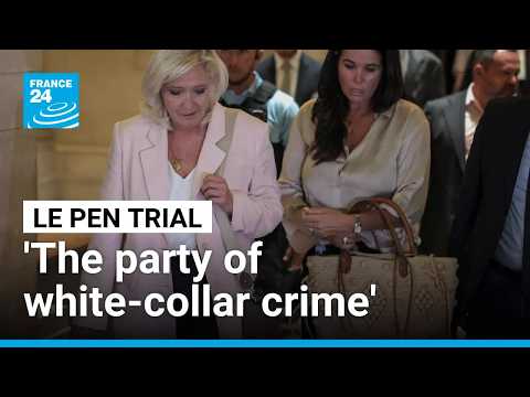 'The party of white-collar crime': French MPs react to Le Pen's conviction