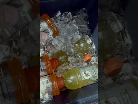 B. Draddy at The Tree Farm