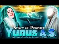 STORY OF PROPHET YUNUS A S In Urdu Hindi RAMSHA SULTAN Prophetstories Ramshasultankhan