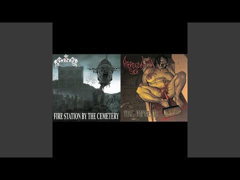 March of the B.O.M.B.E.R.O.S. (In April)