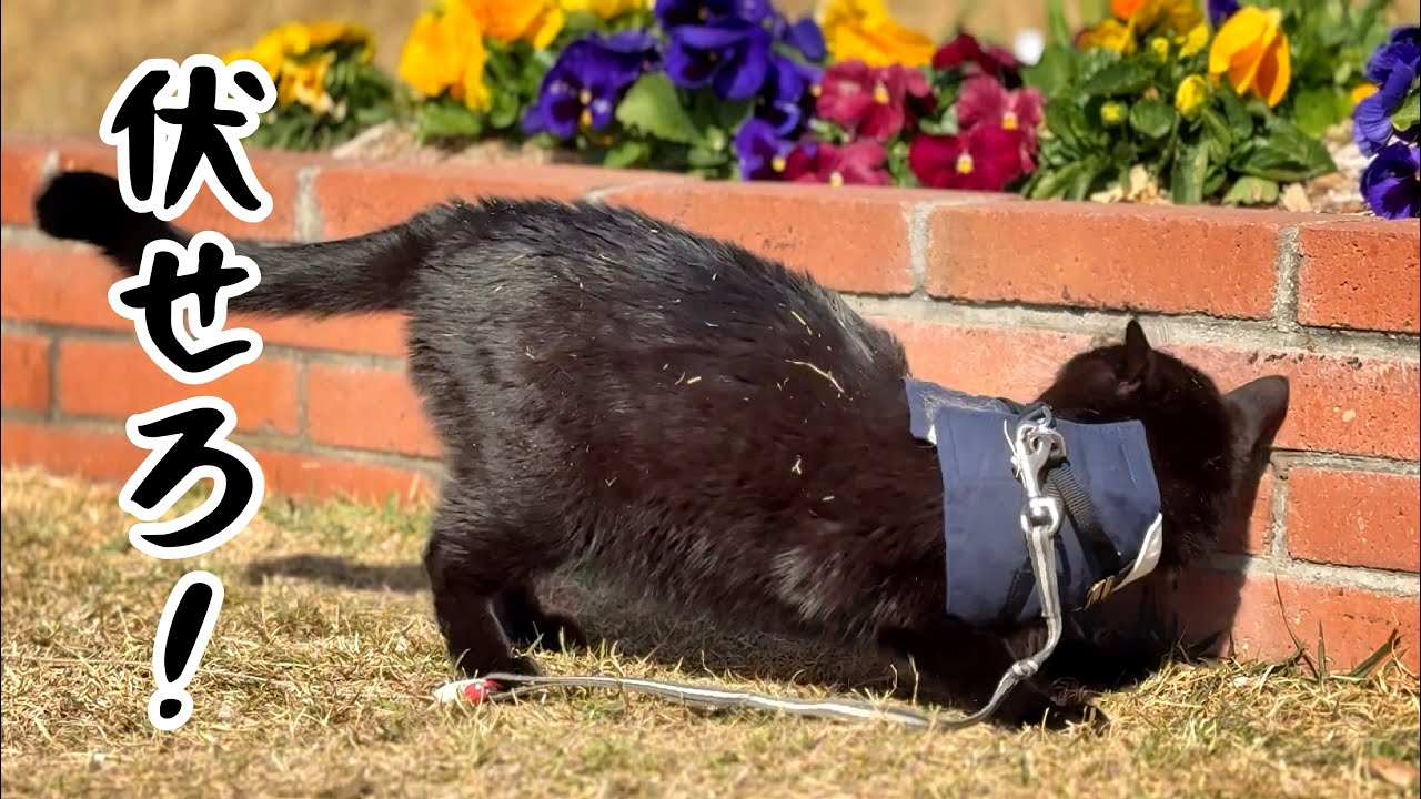 伏せろ！敵襲だ！　Get down! Incoming!