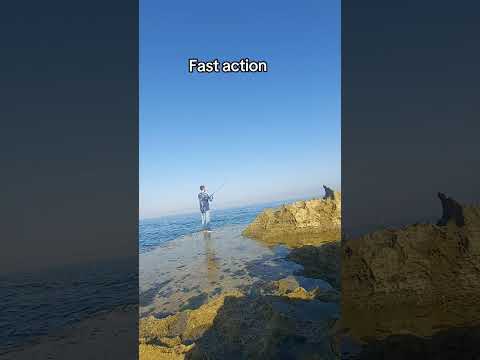 Major craft Solpara light shore jig 15-40 tested 🔥🔥👌 #fishing #fish #fishingtips #lebanon #like