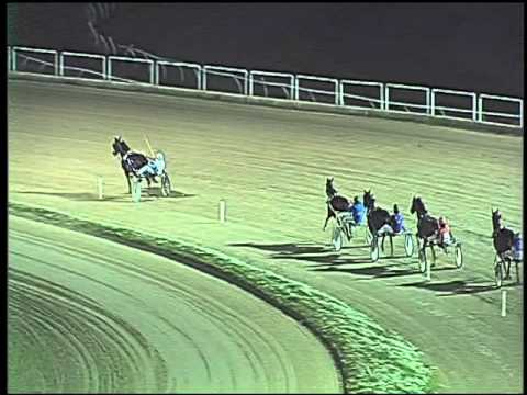 Trotto 29/11/2015 - prova di qualifica