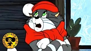 Умом блеснуть ты не обязан а сапогом