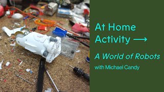 At Home Activity – Little Sunfish by Michael Candy