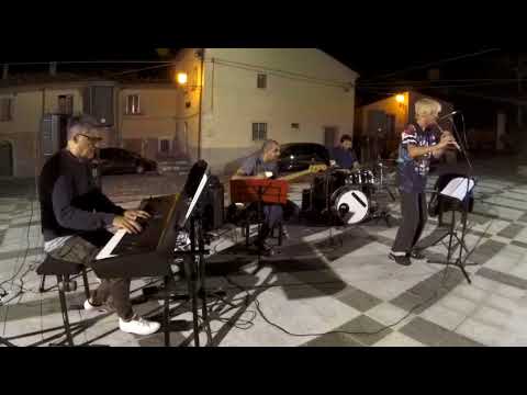 The Butterfly in a Stone Garden