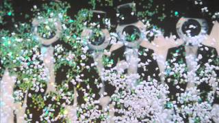 THE EYEBALL - MUSEUM - THE RESIDENTS - ESKIMO EXHIBITION