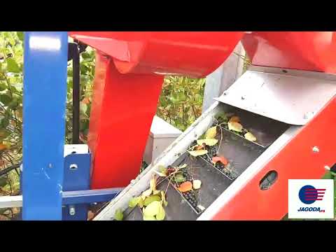 Kombajn do zbioru aronii -  ARONIC 2018