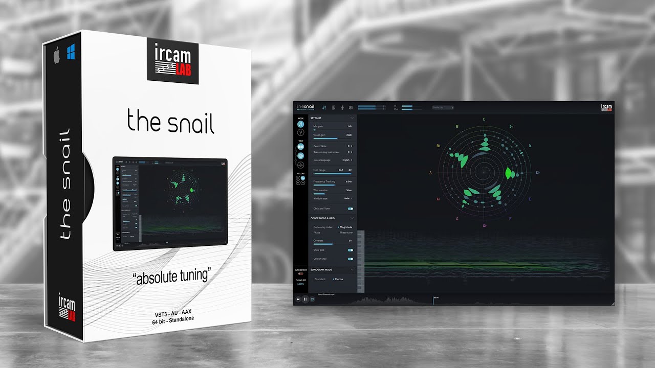 The Snail thumbnail 2