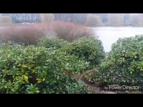 Bikeporn Bergamont Revox 3.0