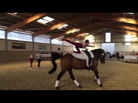 Cikos erstes Turnier 2019