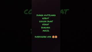 Download lagu suara pikat burung kutilang ribut mp3