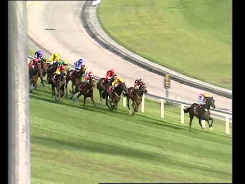 Emirates Singapore Derby 2008 (Top Spin)