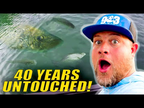 CRAPPIE FISHING A 40 YEAR OLD UNTOUCHED CRYSTAL CLEAR LAKE‼️ MIND BLOWN 🤯