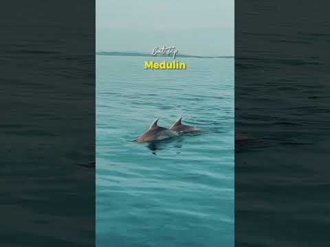 Boat Trip Medulin | Full-Day Archipelago Tour, Cape Kamenjak, Levan Island & Porer Lighthouse