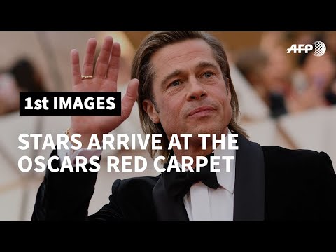 Oscars 2020: Brad Pitt, Renée Zellweger & Leonardo DiCaprio on the red carpet | AFP
