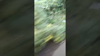 Download lagu October 2, 2024 mp3