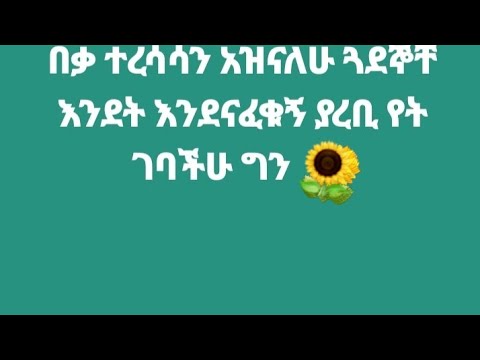 በቃ ተረሳሳን አዝኒለሁ ጓደኞቸ እንደት እንደናፈኝ ያረቢ የት ገባችሁ ግን?