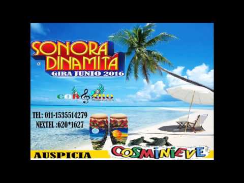 download lagu mp3 mp4 Negro Jose, download mp3 Negro Jose free download mp3, download mp3 Negro Jose