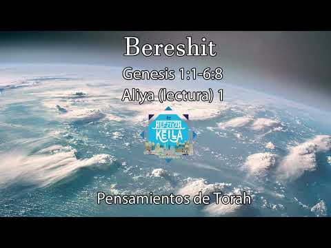 🕎🔴!! !!" Parashá #1 Bereshit " Iniciemos por etapas"